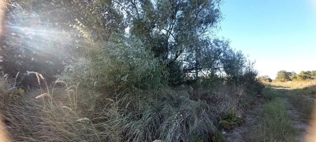 Продажа участка, Оазис, Северский район, переулок Карасунский - Фото 3