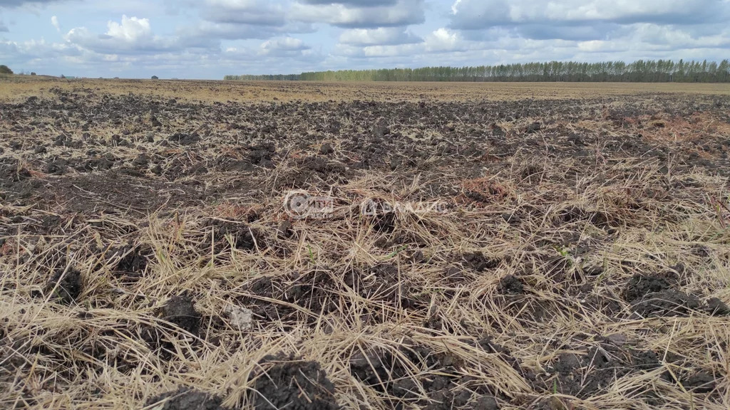 Продажа земельного участка, Хохольский, Хохольский район, ул. Дорожная - Фото 1