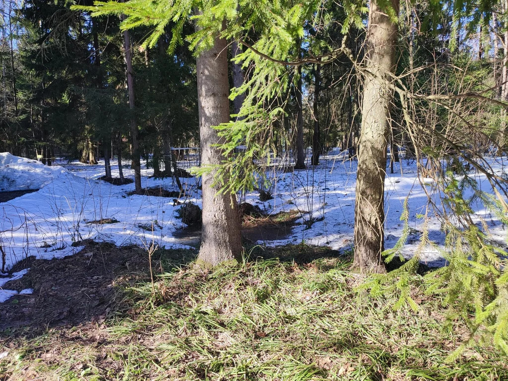 Продажа участка, НИИ Радио, Одинцовский район, Тыльная улица - Фото 9