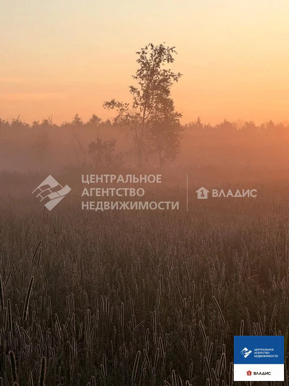 Продажа участка, Дубняки, Рязанский район - Фото 4