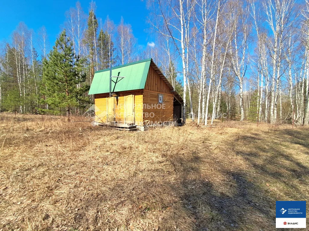 Продажа дома, Большой Мутор, Касимовский район - Фото 19