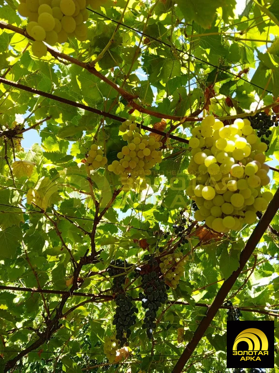 Продажа дома, Холмская, Абинский район, ул. Ленина - Фото 29