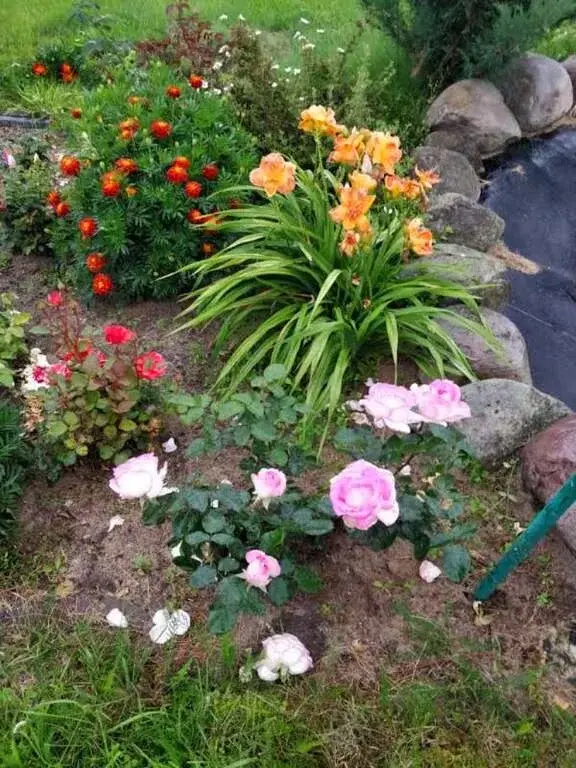 Дом в деревне Цаплино - Фото 31