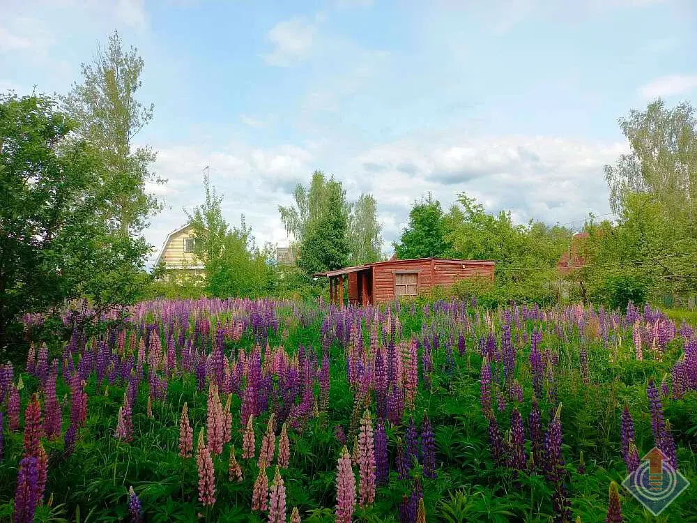 Продажа лесной дачи на 10 сот. в СНТ Порядино, Наро-Фоминский район - Фото 18