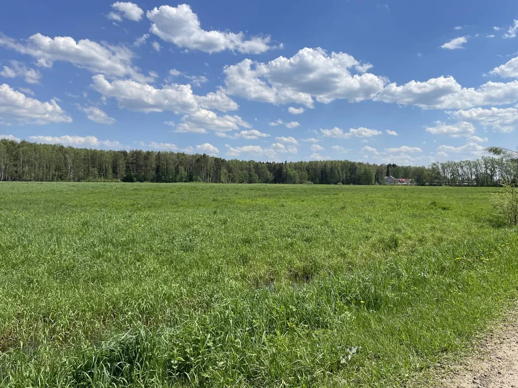 Продажа участка, Княжево, Дмитровский район - Фото 4