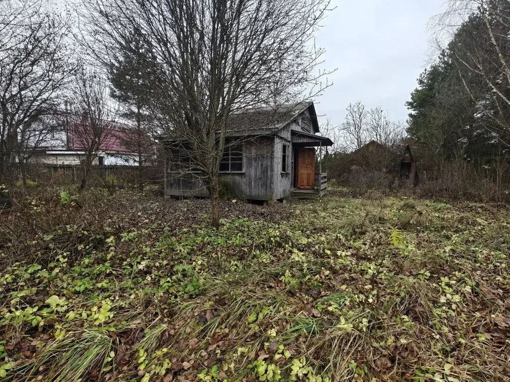 Участок 12 сот. (СНТ, ДНП) - Фото 6