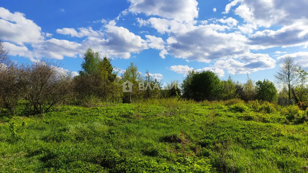 Петушинский район, деревня Пекша, Центральная улица,  земля на продажу - Фото 0