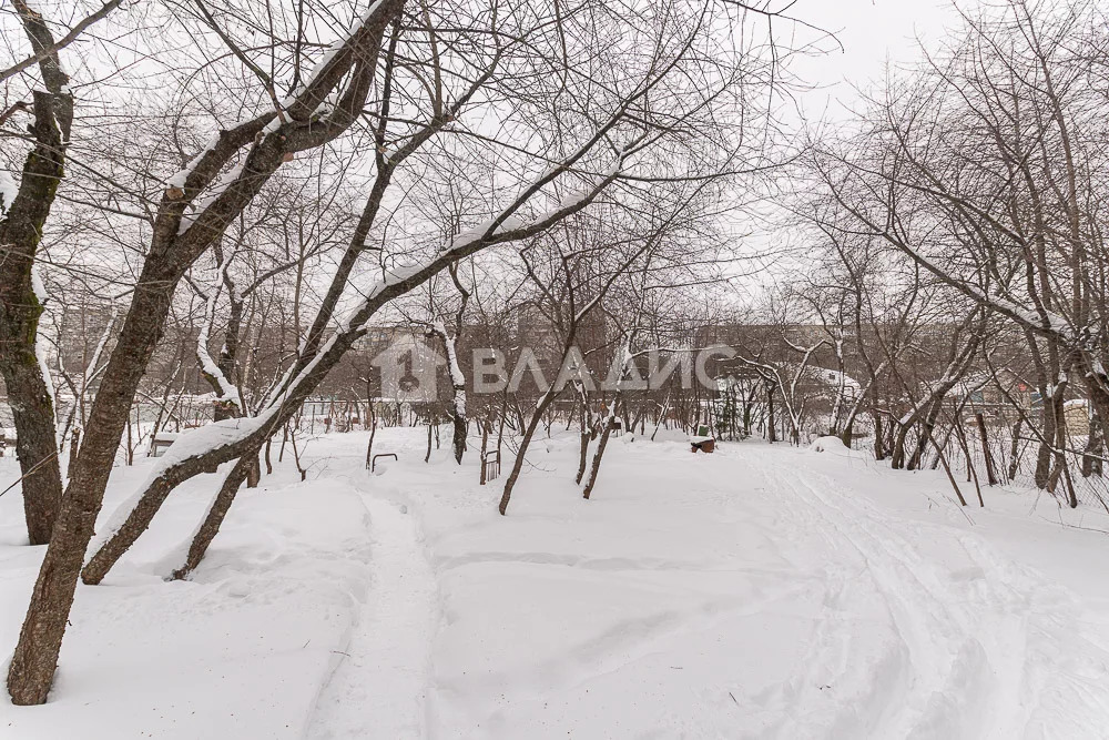 городской округ Владимир, Владимир, Фрунзенский район, Добросельская . - Фото 3