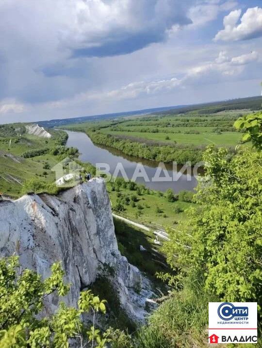 Продажа дома, Старая Хворостань, Лискинский район - Фото 1