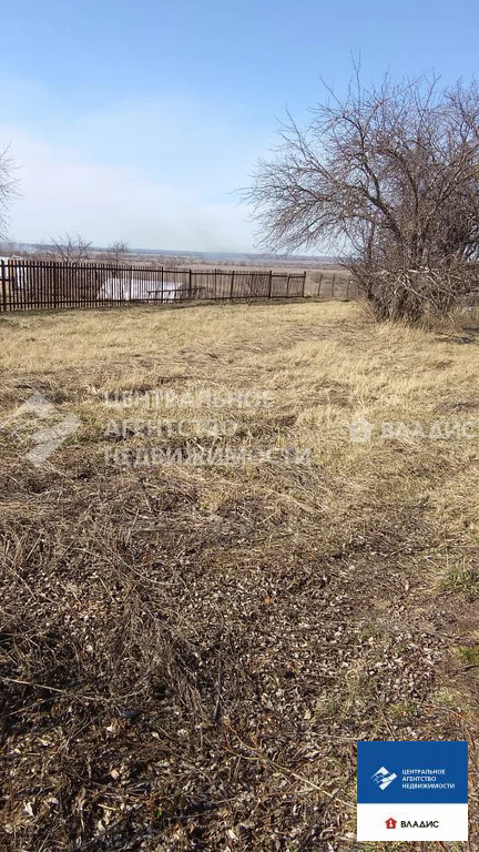 Продажа участка, Бессоновка, Спасский район - Фото 0