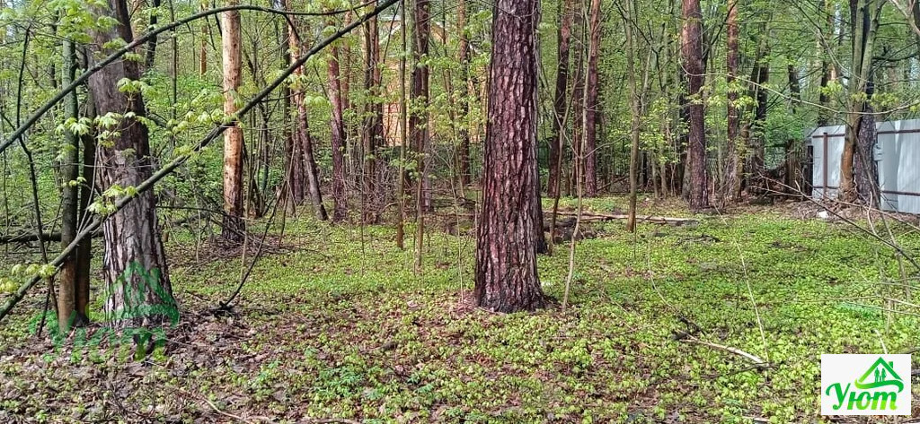 Продажа дома, Быково, Волоколамский район, улица Опаринская - Фото 6