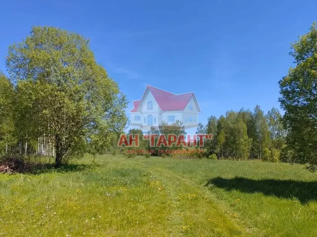 Дом в д.Федяево, Александровский р-н, Владимирская область - Фото 17