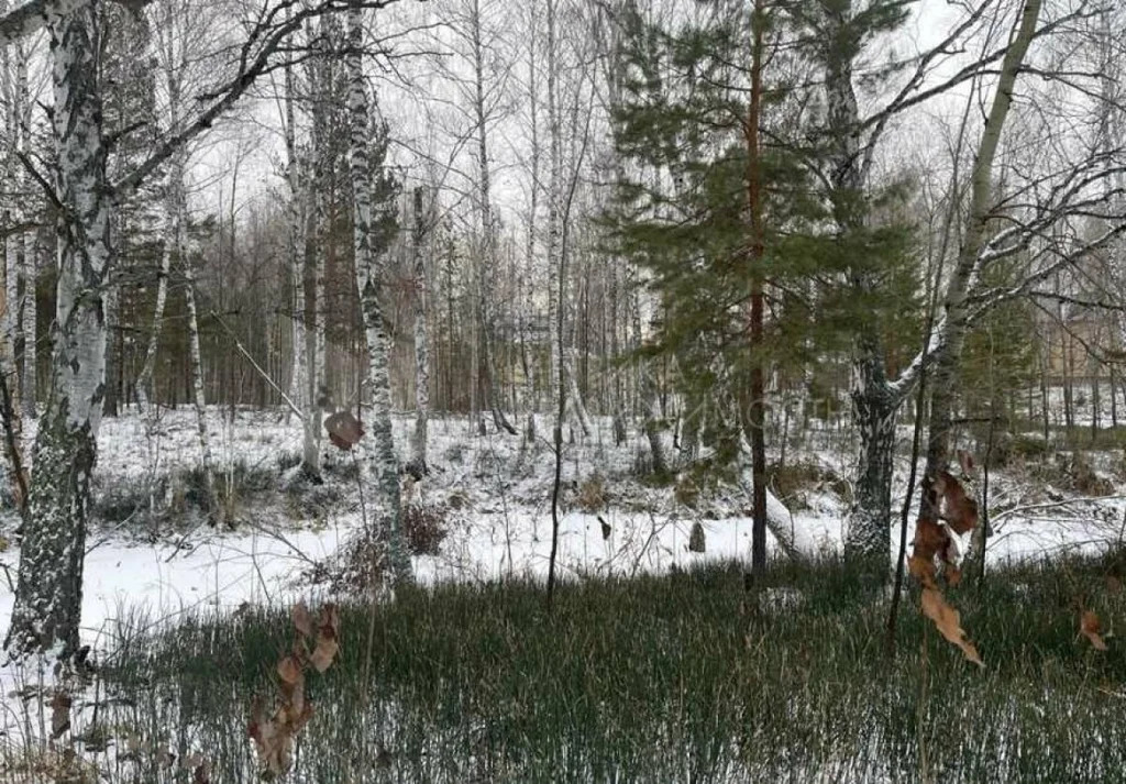 Продажа участка, Перевалово, Тюменский район, Тюменский р-н - Фото 1