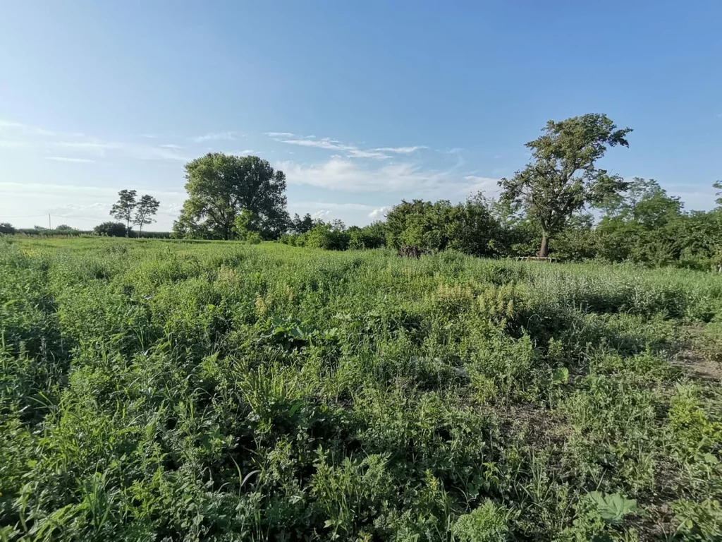 Продажа участка, Старонижестеблиевская, Красноармейский район, Ул. . - Фото 7