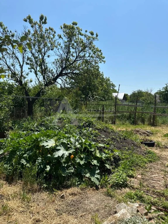 Продажа дома, Минеральные Воды, ул. Ленина - Фото 11