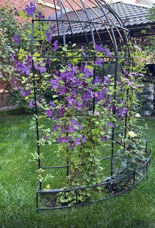 Коттедж 290 м2 на участке 6 сот. - Фото 6