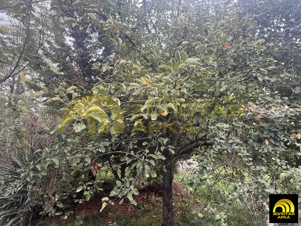 Продажа дома, Варениковская, Крымский район, ул. Октябрьская - Фото 15