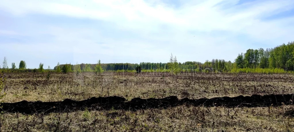 Продажа земельного участка, Тюменский район, Тюменский р-н - Фото 9