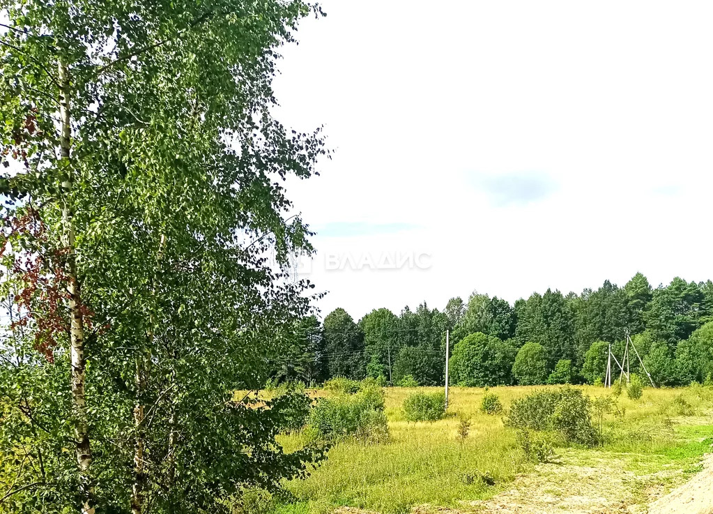 Малоярославецкий район, деревня Подполково, земля на продажу - Фото 3