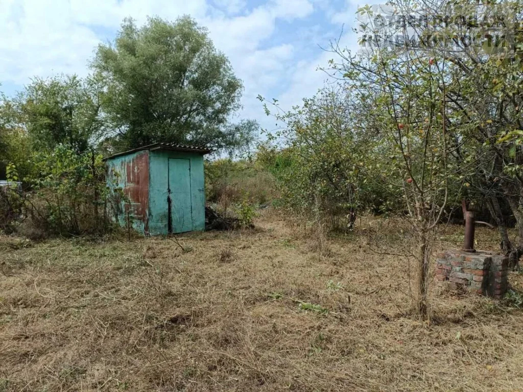 Дачный участок - Фото 3