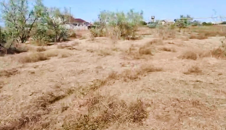 Продажа участка, Веселовка, Темрюкский район - Фото 4