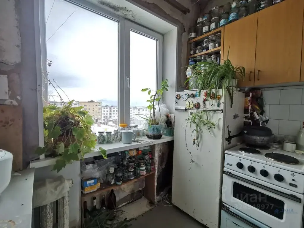 Купить однокомнатную квартиру 35.9м Марчеканский пер., 17, Магадан, .. - Фото 4