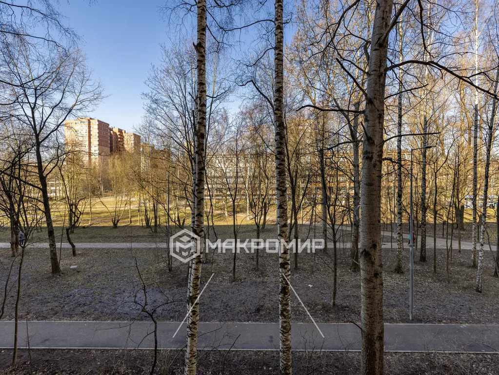 Продажа квартиры, м. Гражданский проспект, Гражданский пр-кт. - Фото 7