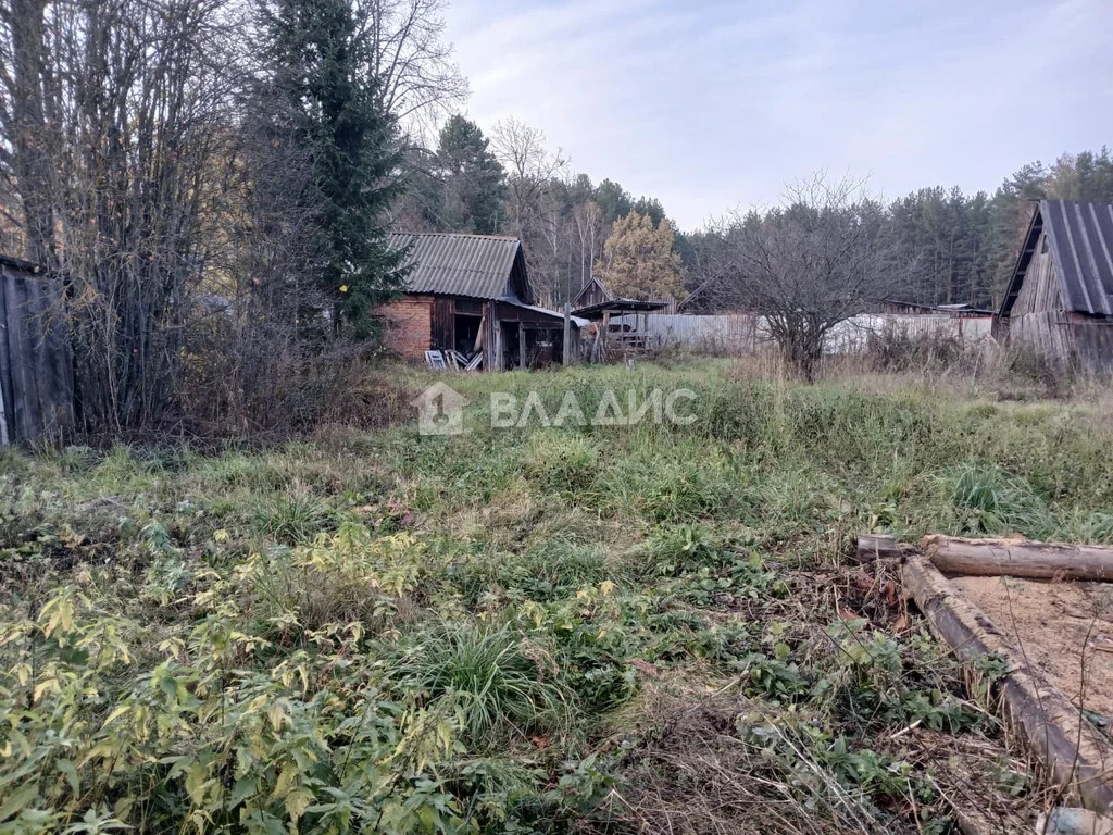 Селивановский район, деревня Копнино, Октябрьская улица,  дом на ... - Фото 9