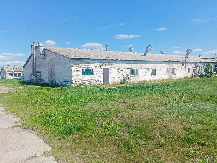 Продажа производственного помещения, Ульяновка, Борисоглебский район, ... - Фото 5