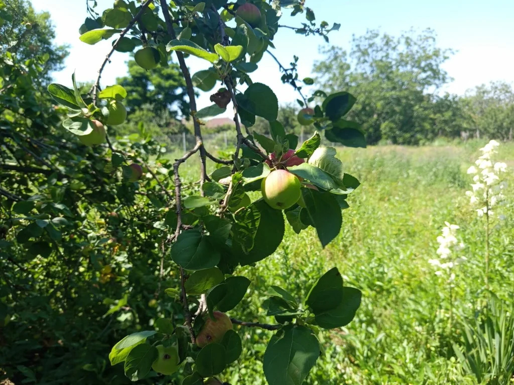 Продажа дома, Новомышастовская, Красноармейский район, ул. Гагарина - Фото 10