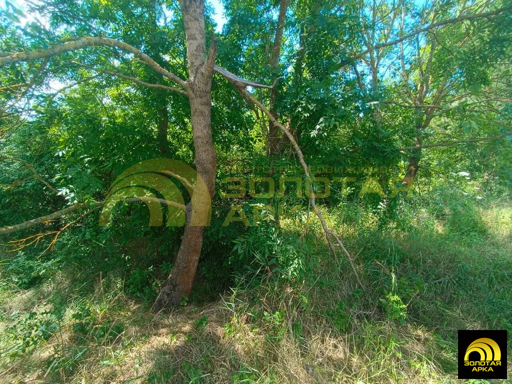 Продажа участка, Мингрельская, Абинский район - Фото 12