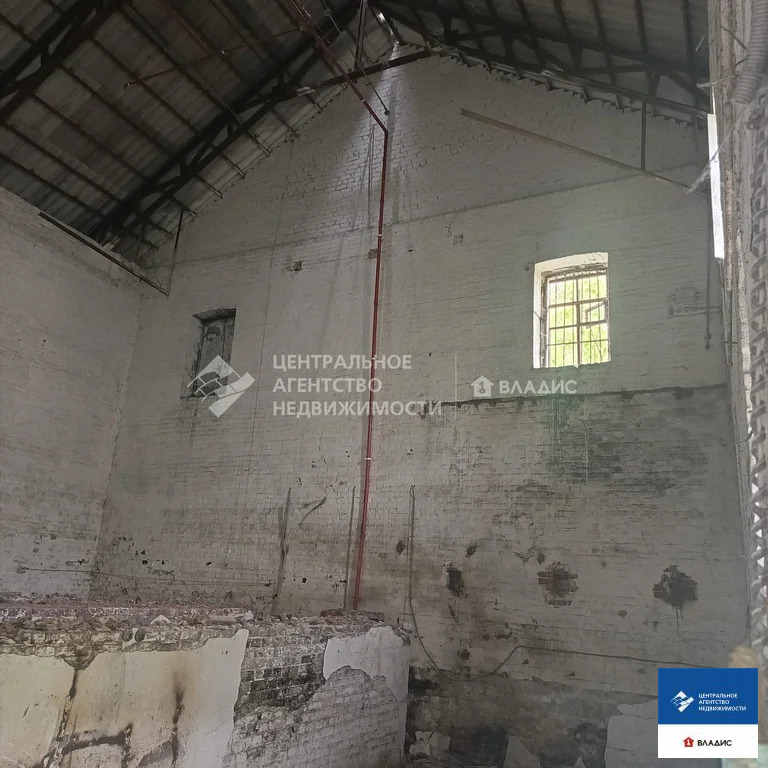 Продажа производственного помещения, Пертово, Чучковский район - Фото 6