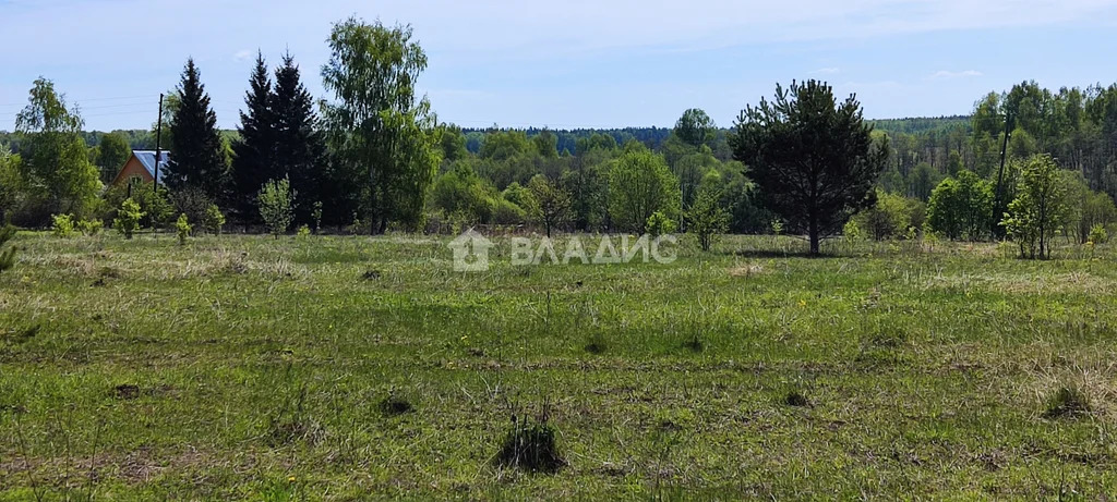 Петушинский район, поселок Алексино,  земля на продажу - Фото 0