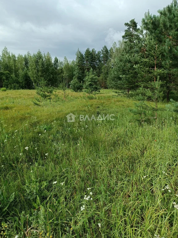 Судогодский район, деревня Травинино,  земля на продажу - Фото 0