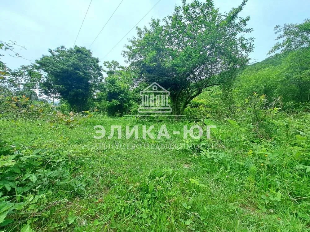 Продажа участка, Лермонтово, Туапсинский район, снт.Бодрость - Фото 4