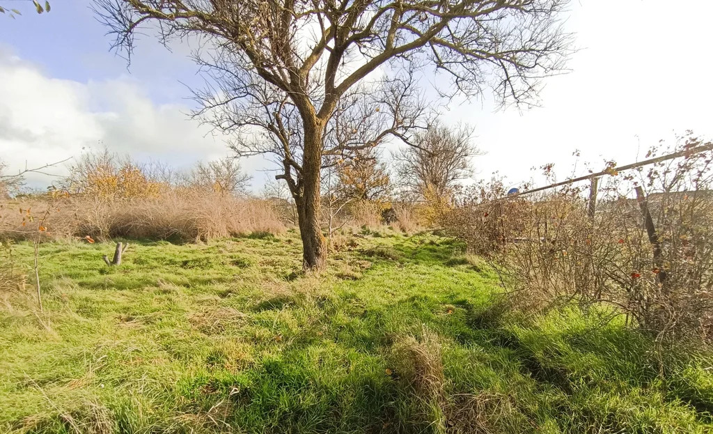 Продажа участка, Белый, Темрюкский район, ул. Лермонтова - Фото 2