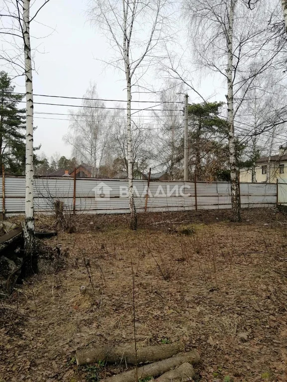 городской округ Пушкинский, село Тарасовка, Центральная улица,  земля ... - Фото 0