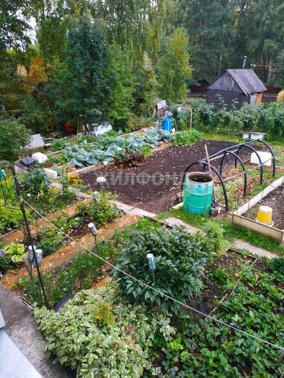 Продажа дома, Новосибирск, снт Ивушка - Фото 6