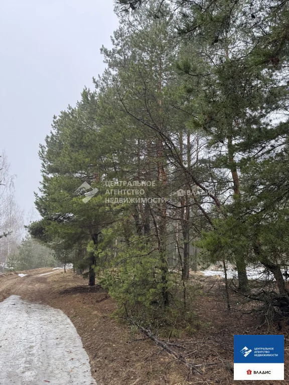 Продажа участка, Рязанский район, садоводческое товарищество ... - Фото 6