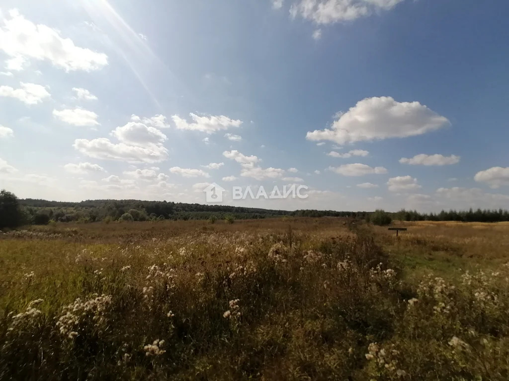 городской округ Владимир, село Мосино, Ленинский район,  земля на ... - Фото 2