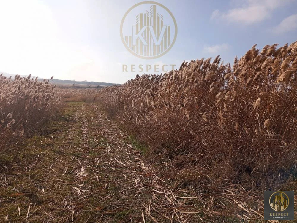 Продажа участка, Хорошевский, Предгорный район, Шоссейная ул. - Фото 8