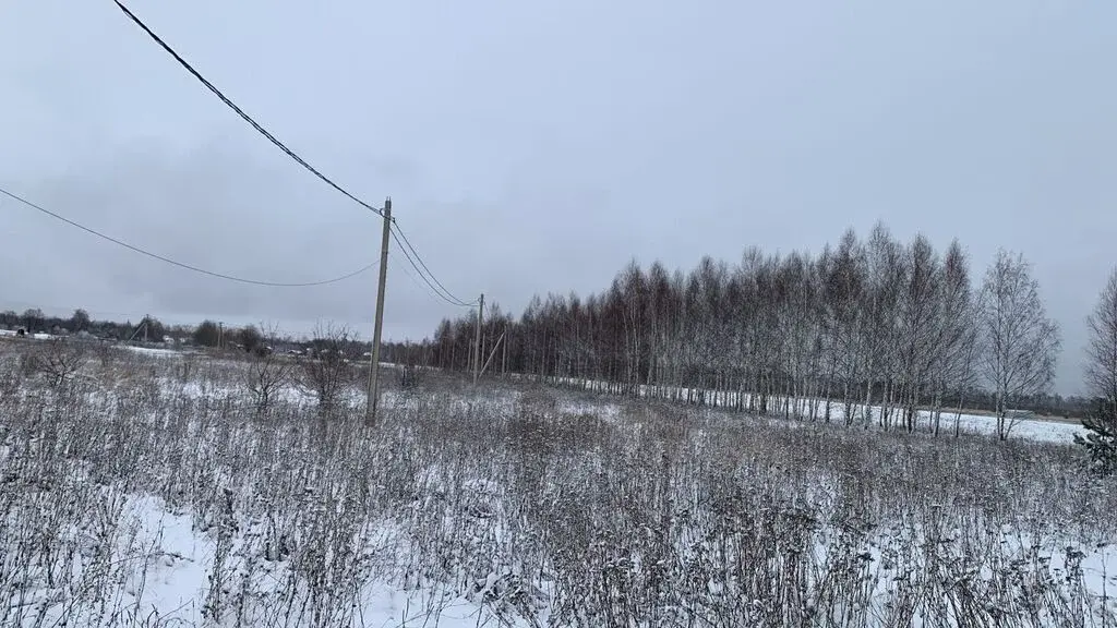 Продам участок в коттеджном поселке Раменские дворики - Фото 5