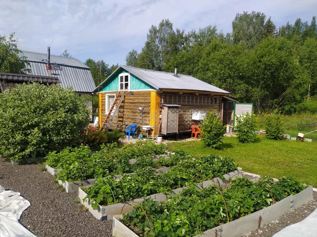 Купить Дачу В Череповецком Районе Недорого