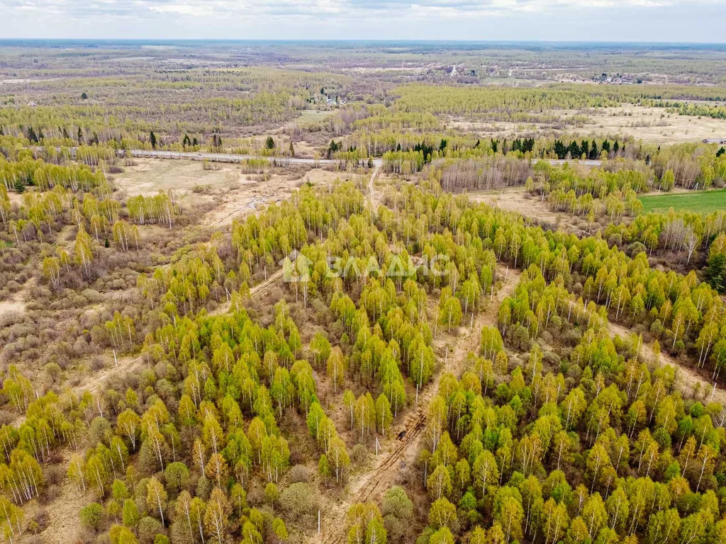 Судогодский район, деревня Кощеево, земля на продажу - Фото 8