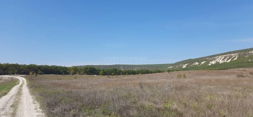 Продажа участка, Севастополь, территория КСП Память Ленина - Фото 5