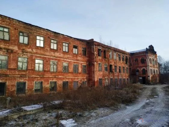 Продажа производственного помещения, Барыш, Фабричная площадь, д. 3/1 - Фото 16