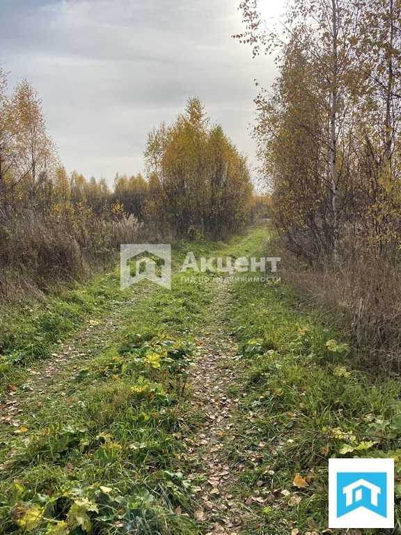 Продажа участка, Панеево, Ивановский район - Фото 8