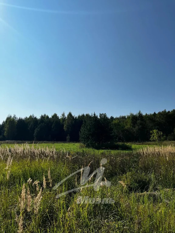 Продажа участка, Бисерово, Богородский г. о. - Фото 1