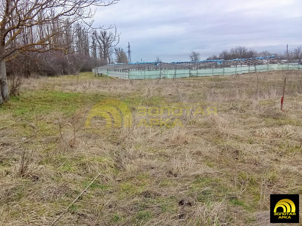 Продажа участка, Холмская, Абинский район, ул. Ломоносова - Фото 5