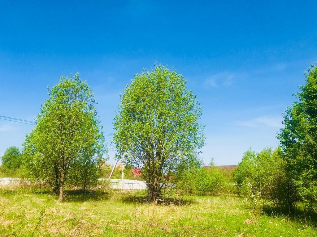 Долгиниха мытищинский. Деревня Долгиниха. Деревня Долгиниха фото.